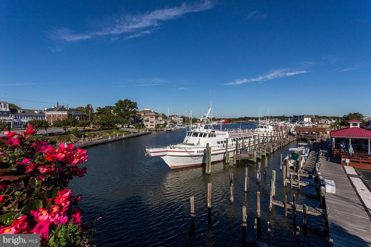 DESU2085268-803816325526-2025-05-10-12-11-36 30870 Molly B Rd | Lewes, DE Real Estate For Sale | MLS# Desu2085268  - Jack Lingo REALTOR