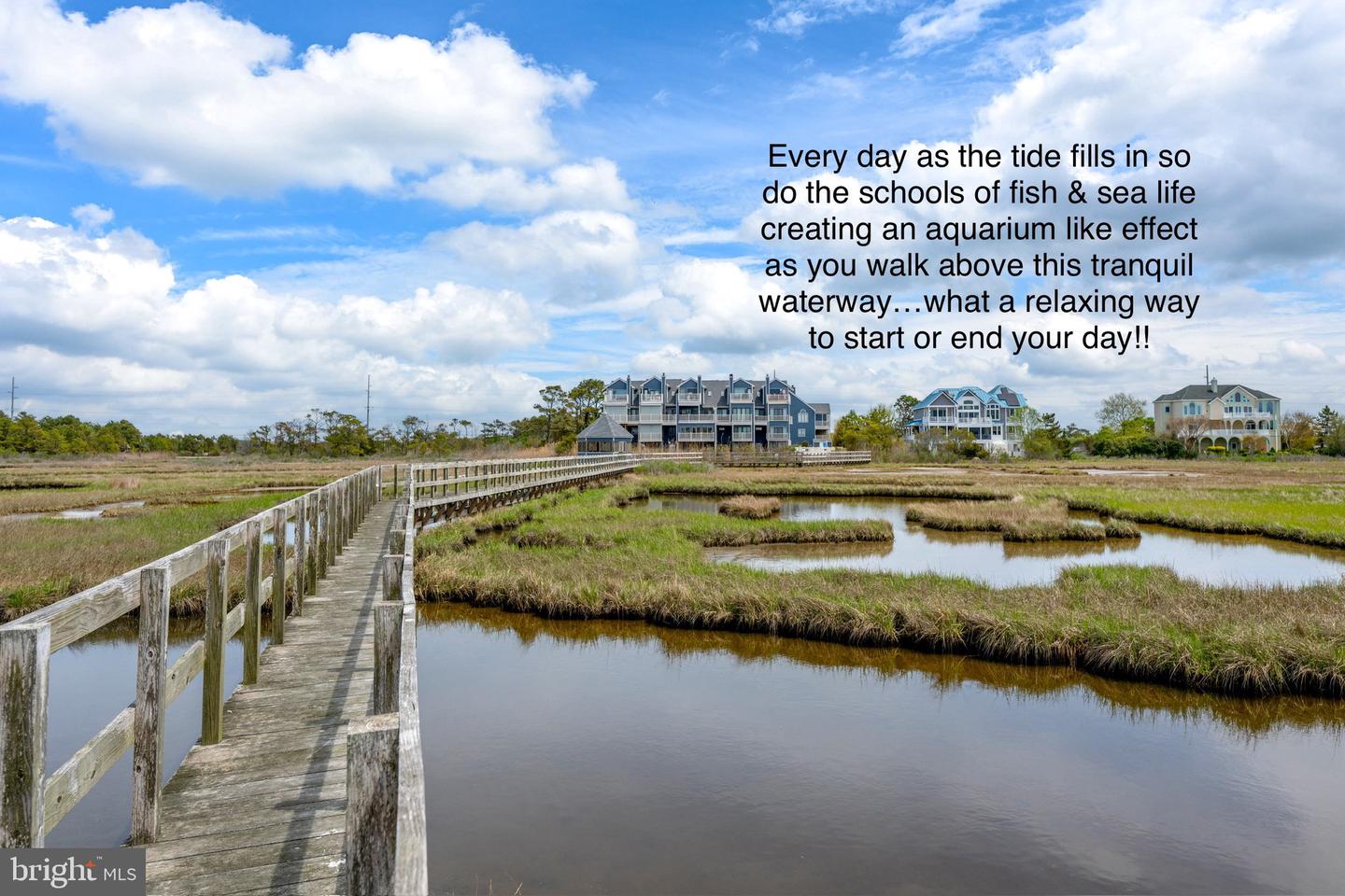 DESU2085272-803820463198-2025-06-13-06-58-50 39947 Narrows Rd #13 | Fenwick Island, DE Real Estate For Sale | MLS# Desu2085272  - Jack Lingo REALTOR