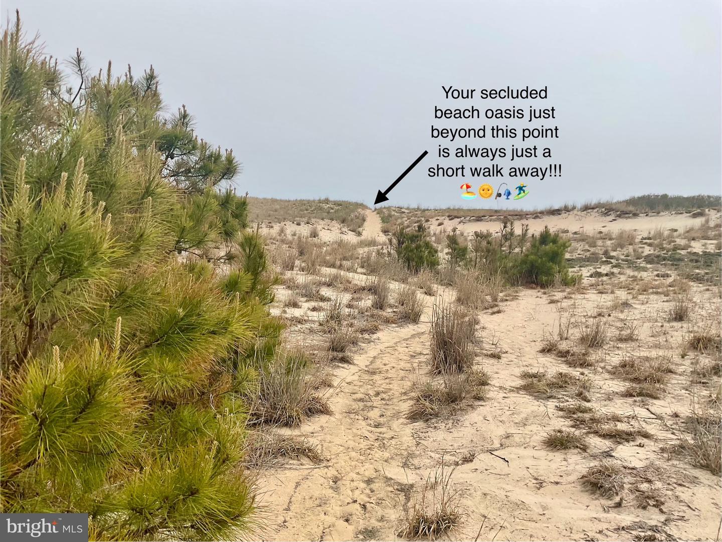 DESU2085272-803820516036-2025-06-13-06-58-50 39947 Narrows Rd #13 | Fenwick Island, DE Real Estate For Sale | MLS# Desu2085272  - Jack Lingo REALTOR
