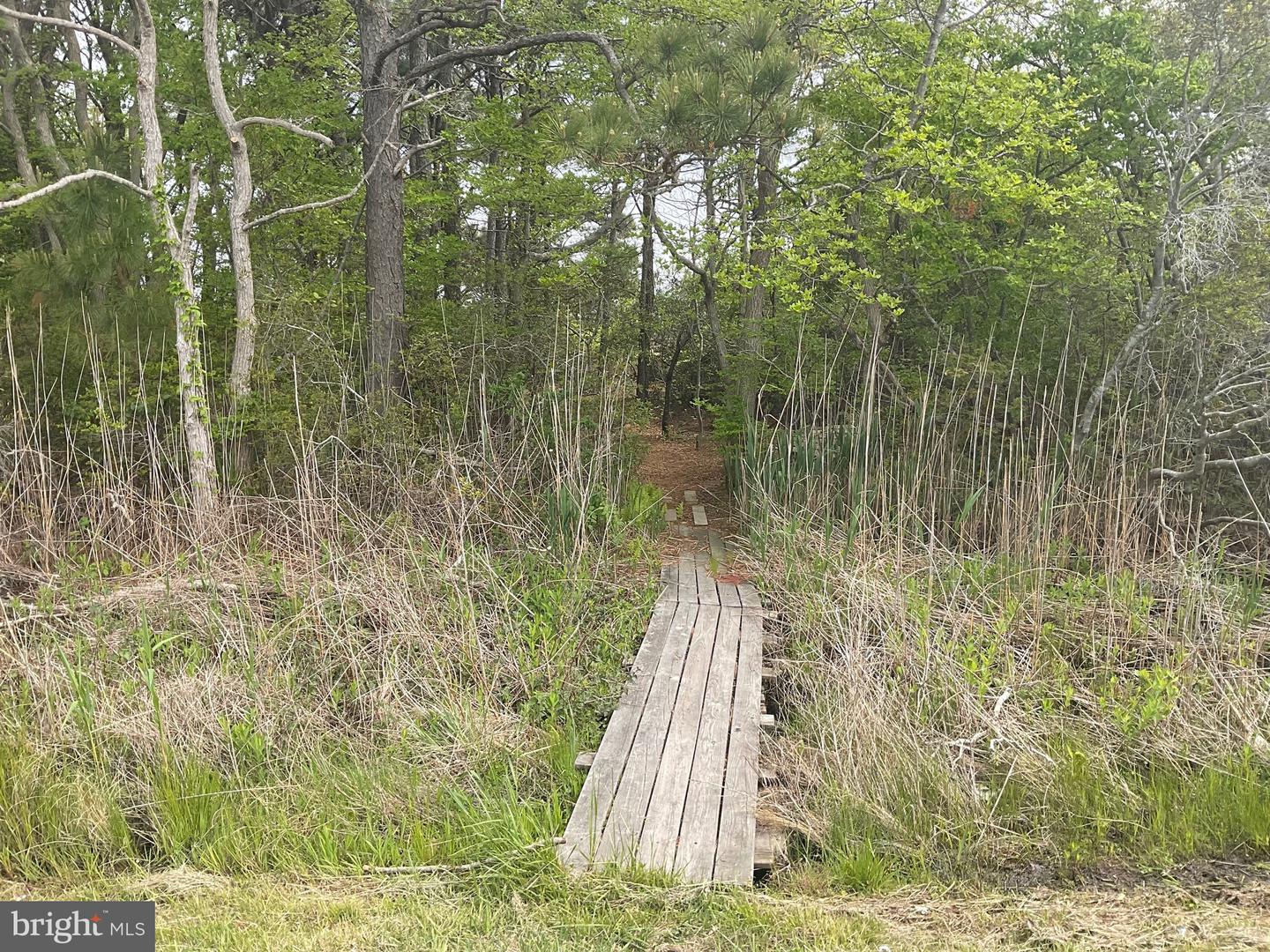 DESU2085272-803820516674-2025-06-13-06-58-50 39947 Narrows Rd #13 | Fenwick Island, DE Real Estate For Sale | MLS# Desu2085272  - Jack Lingo REALTOR