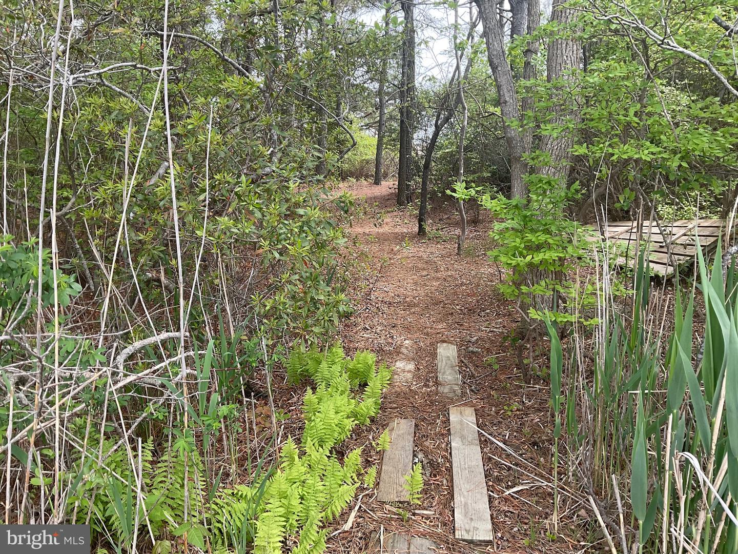 DESU2085272-803820516876-2025-06-13-06-58-54 39947 Narrows Rd #13 | Fenwick Island, DE Real Estate For Sale | MLS# Desu2085272  - Jack Lingo REALTOR