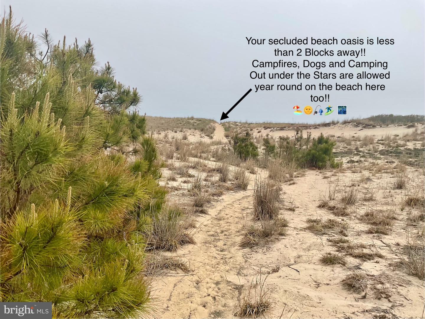 DESU2085272-803933208028-2025-06-13-06-58-52 39947 Narrows Rd #13 | Fenwick Island, DE Real Estate For Sale | MLS# Desu2085272  - Jack Lingo REALTOR