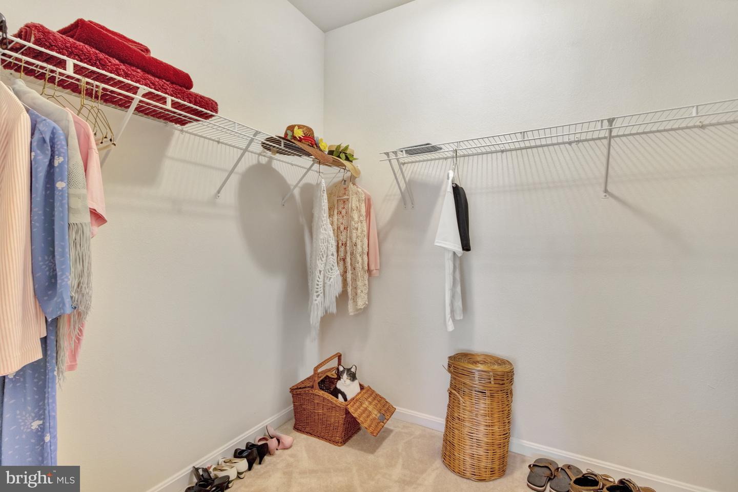 DESU2085332-803872127652-2025-05-22-12-59-53 34773 Schooner Pass | Lewes, DE Real Estate For Sale | MLS# Desu2085332  - Jack Lingo REALTOR