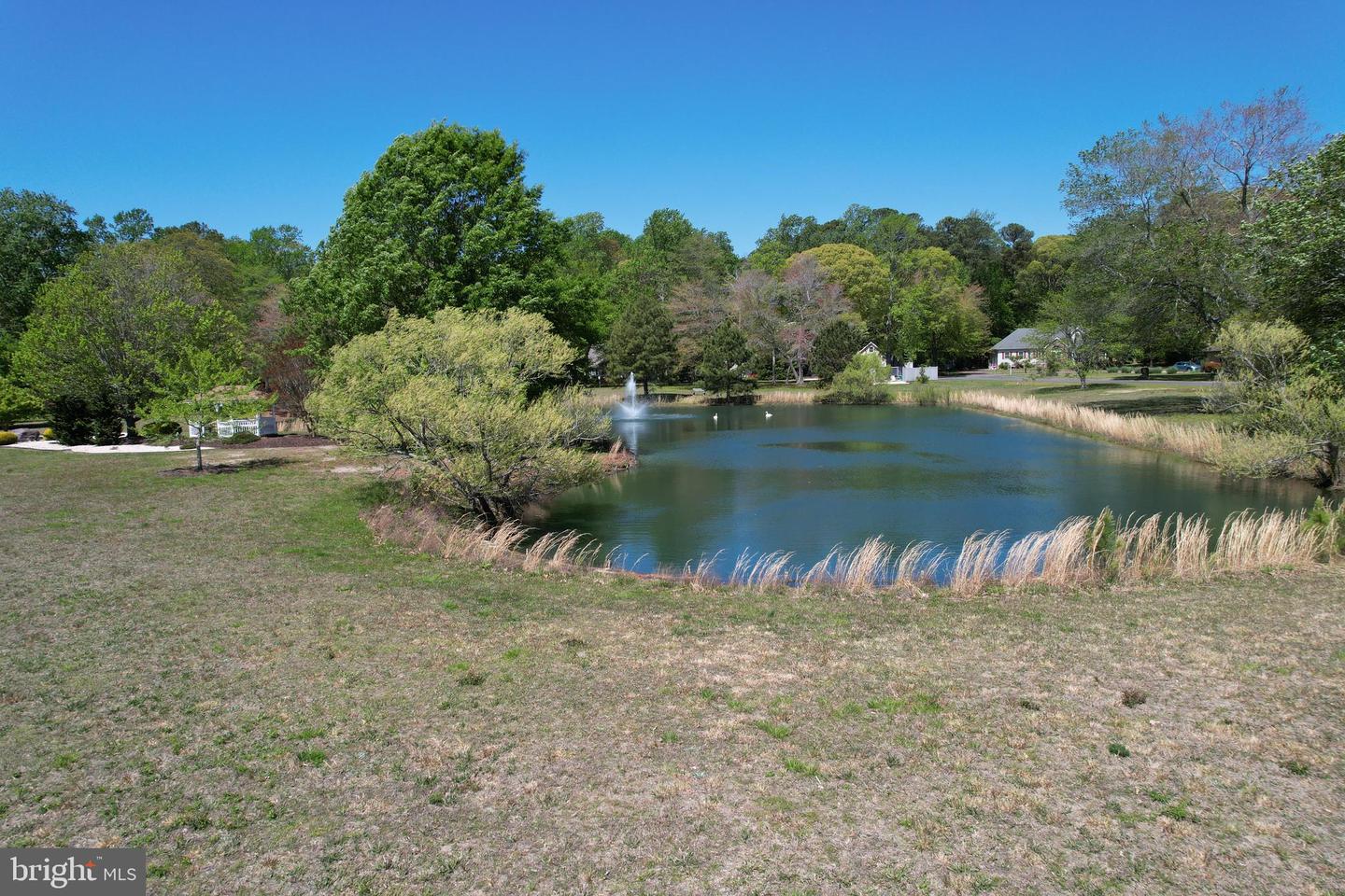 DESU2085334-803815881000-2025-05-01-20-51-19 423 Park Ln | Millsboro, DE Real Estate For Sale | MLS# Desu2085334  - Jack Lingo REALTOR