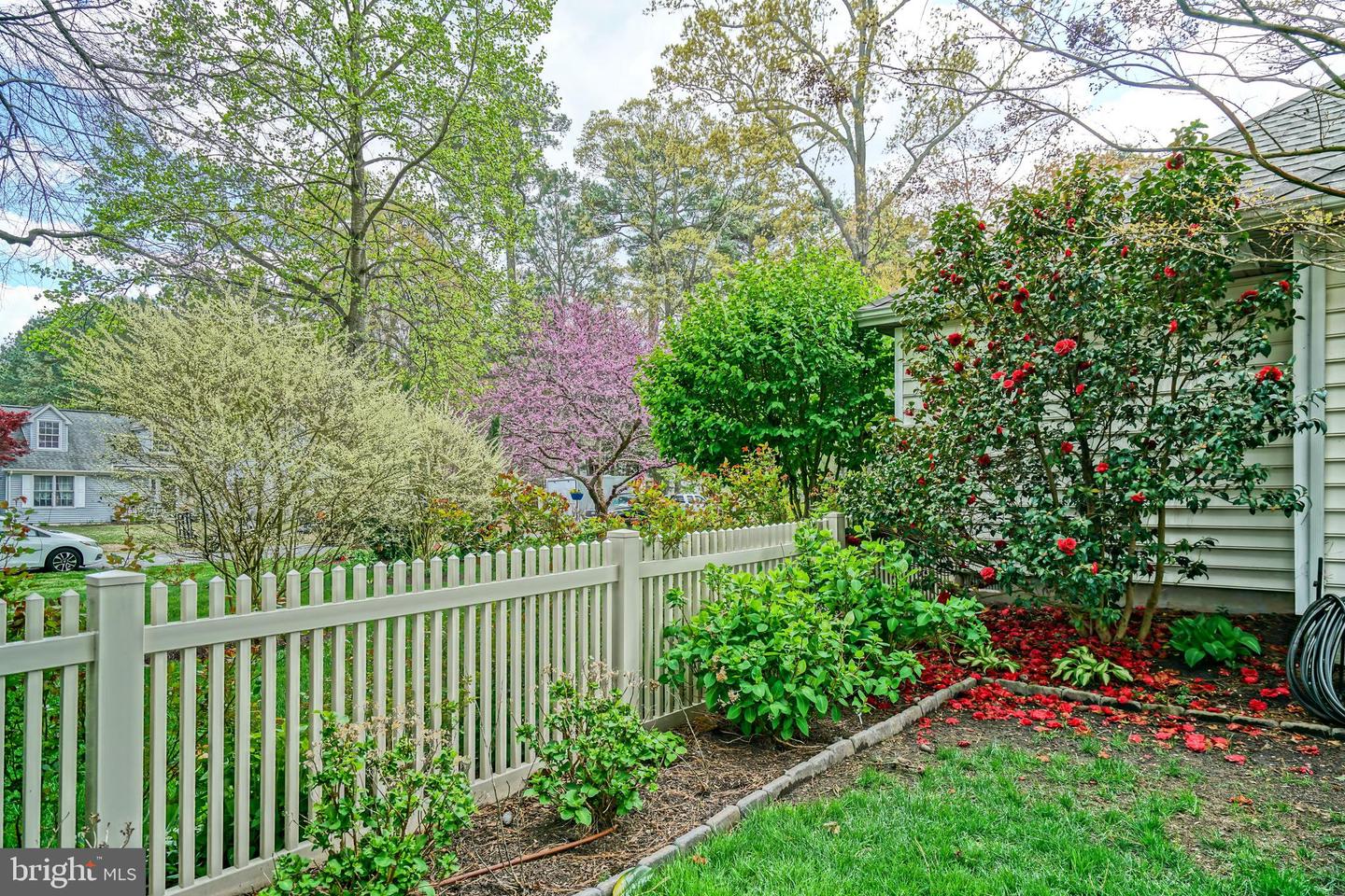 DESU2085450-803819435210-2025-05-02-14-00-59 17183 Jays Way | Milton, DE Real Estate For Sale | MLS# Desu2085450  - Jack Lingo REALTOR