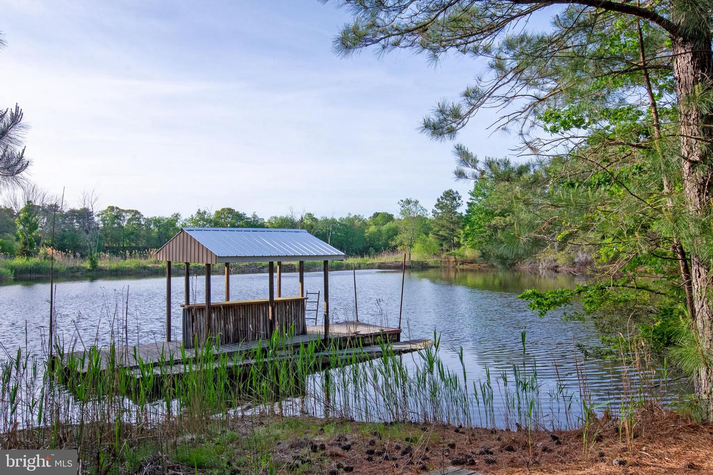 DESU2085480-803832819990-2025-12-31-18-33-50 5764 Black Maple Ln | Milford, DE Real Estate For Sale | MLS# Desu2085480  - Jack Lingo REALTOR