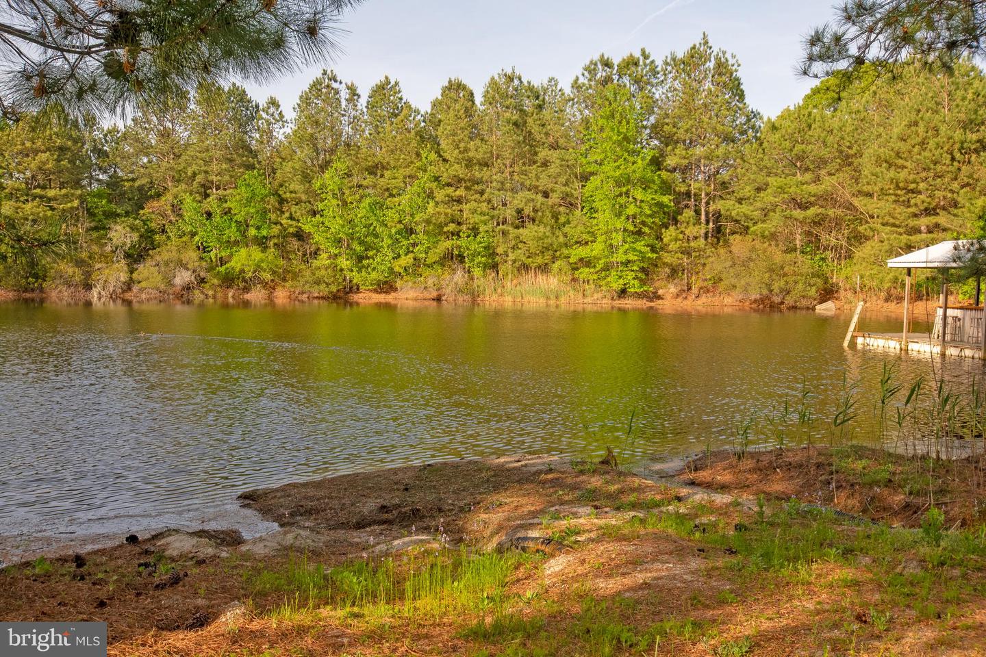 5764 BLACK MAPLE LN, MILFORD, DE - Jack Lingo Realtor