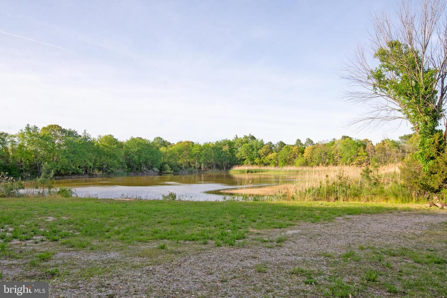 DESU2085480-803832821878-2025-12-31-18-33-50 5764 Black Maple Ln | Milford, DE Real Estate For Sale | MLS# Desu2085480  - Jack Lingo REALTOR