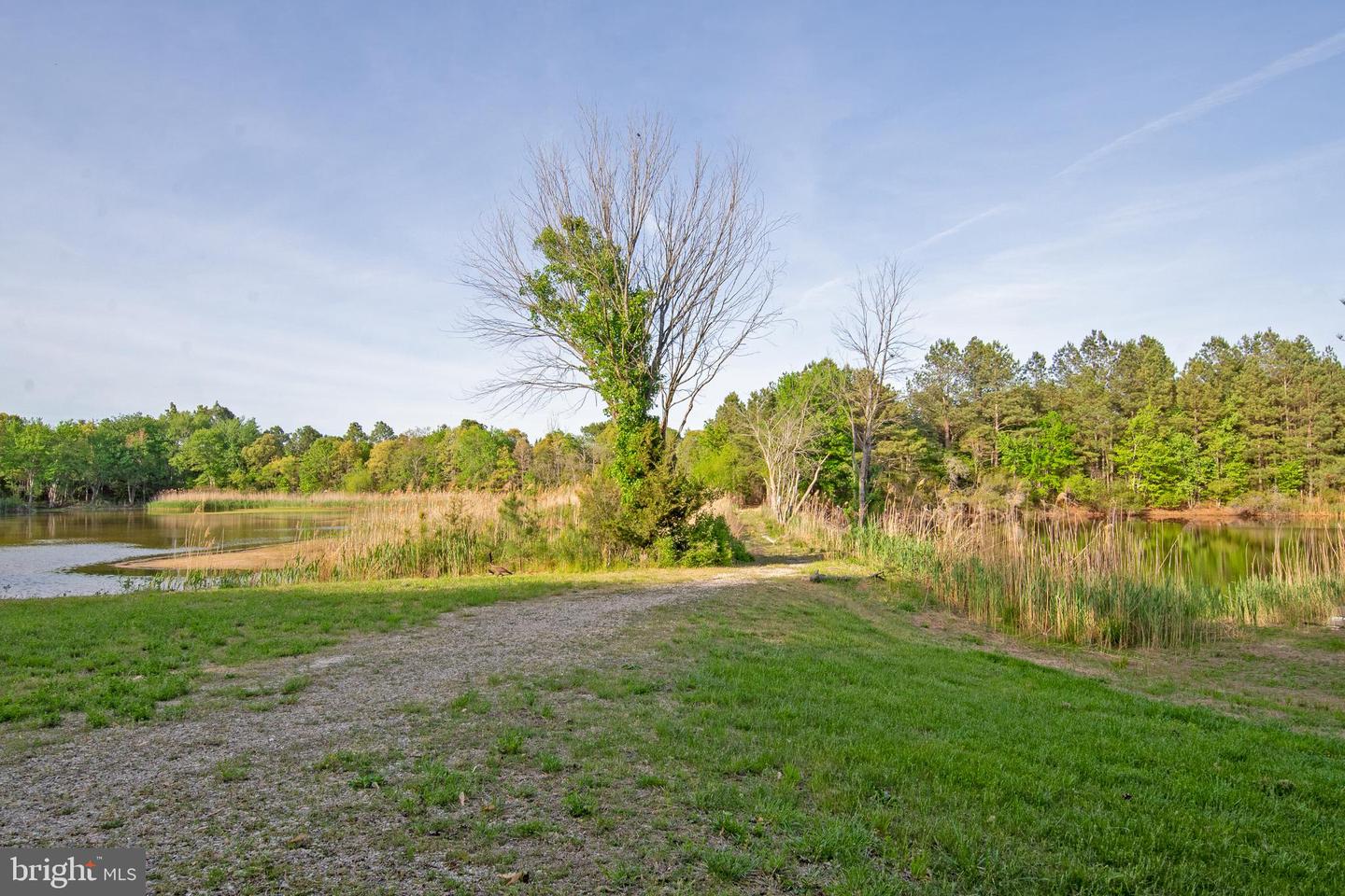 DESU2085480-803832822012-2025-12-31-18-33-50 5764 Black Maple Ln | Milford, DE Real Estate For Sale | MLS# Desu2085480  - Jack Lingo REALTOR