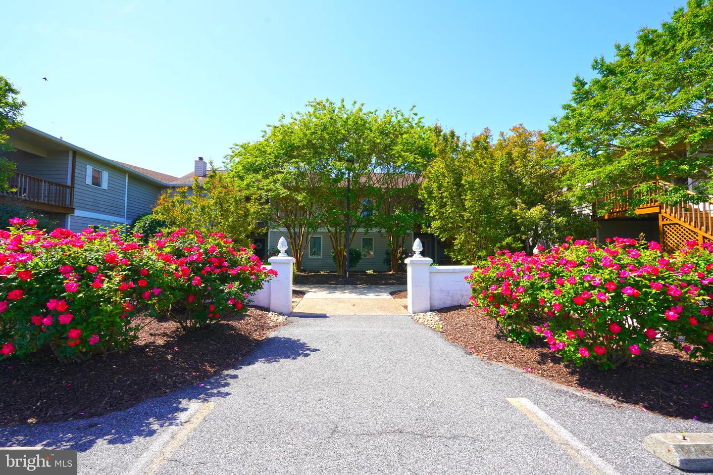 DESU2085498-803853769482-2025-05-15-13-15-12 33955 Middleton Cir #5 | Lewes, DE Real Estate For Sale | MLS# Desu2085498  - Jack Lingo REALTOR