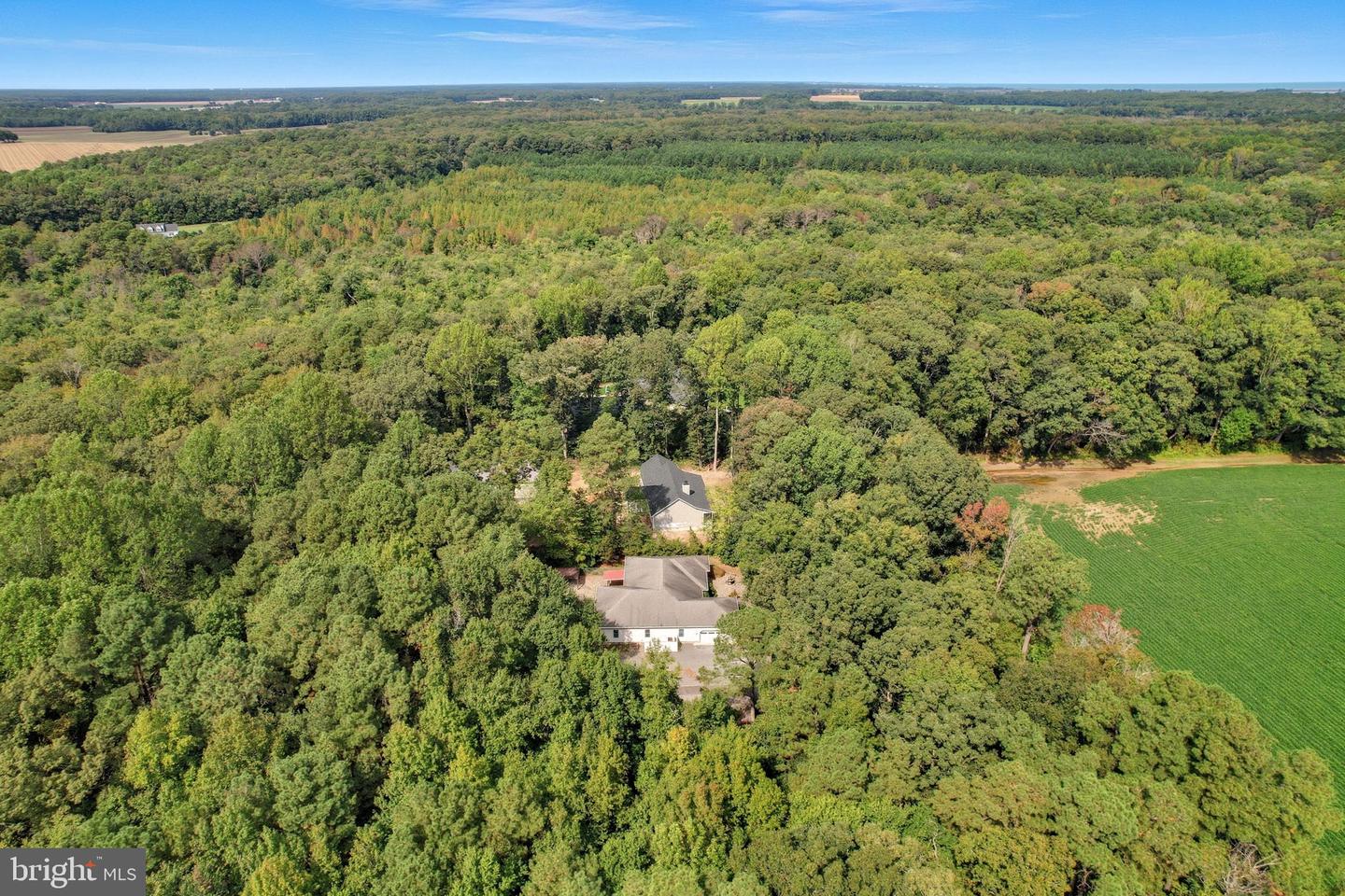 DESU2085570-804203538858-2025-09-29-09-30-01 26770 Deep Branch Rd | Milton, DE Real Estate For Sale | MLS# Desu2085570  - Jack Lingo REALTOR DESU2085570-804203538858-2025-09-29-09-30-01 26770 Deep Branch Rd | Milton, DE Real Estate For Sale | MLS# Desu2085570  - Jack Lingo REALTOR