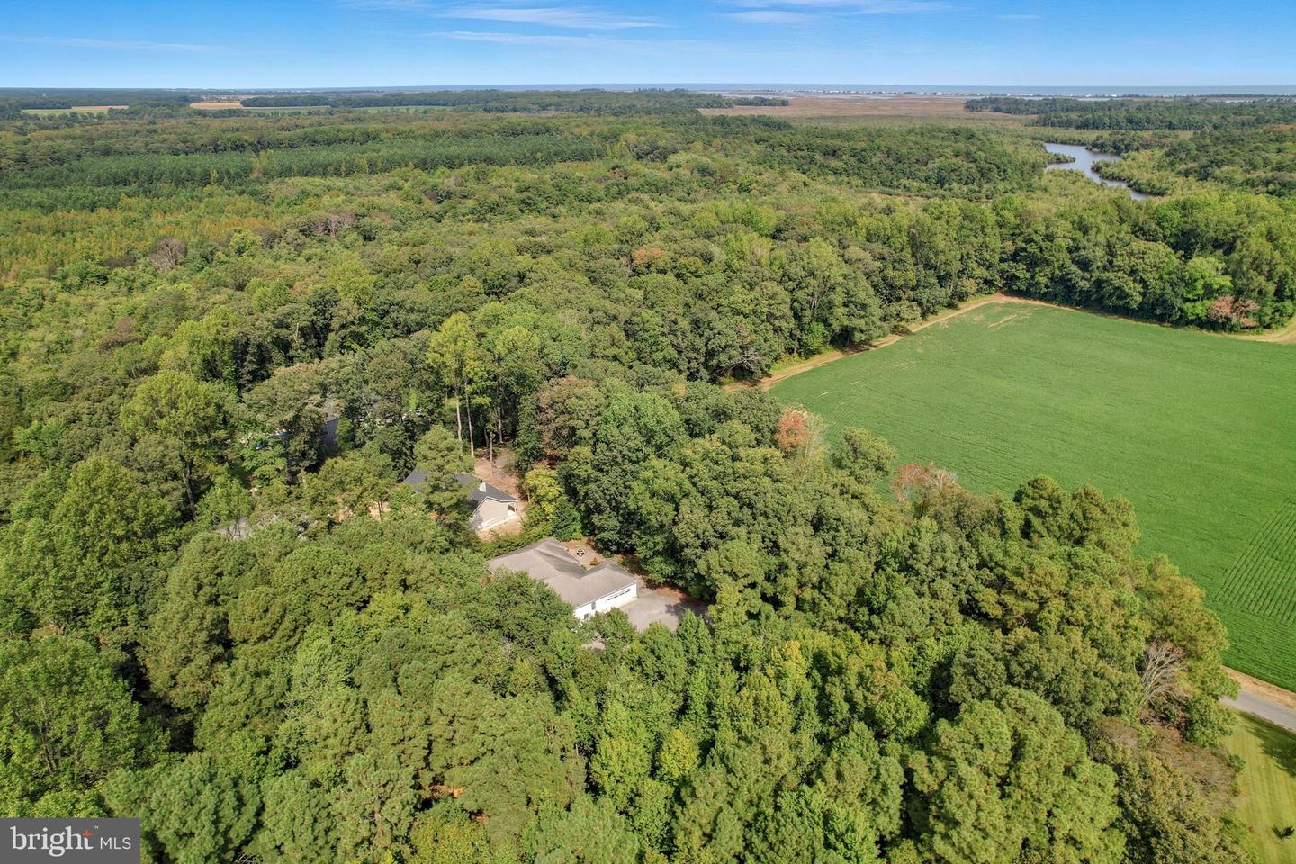 DESU2085570-804203560552-2025-09-29-09-30-00 26770 Deep Branch Rd | Milton, DE Real Estate For Sale | MLS# Desu2085570  - Jack Lingo REALTOR DESU2085570-804203560552-2025-09-29-09-30-00 26770 Deep Branch Rd | Milton, DE Real Estate For Sale | MLS# Desu2085570  - Jack Lingo REALTOR