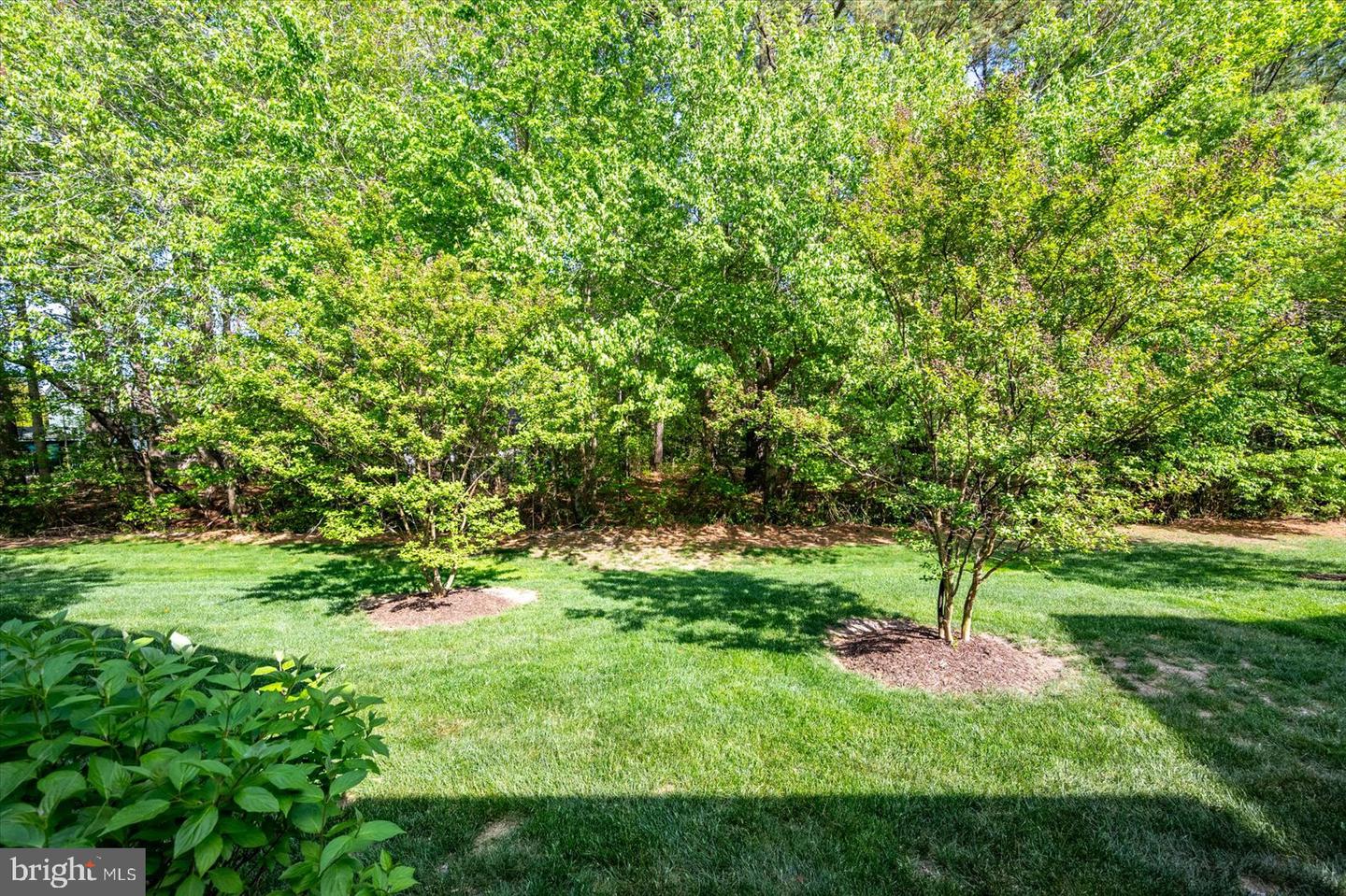 DESU2085574-803823318098-2025-05-06-13-31-55 36229 Waterleaf Way | Selbyville, DE Real Estate For Sale | MLS# Desu2085574  - Jack Lingo REALTOR