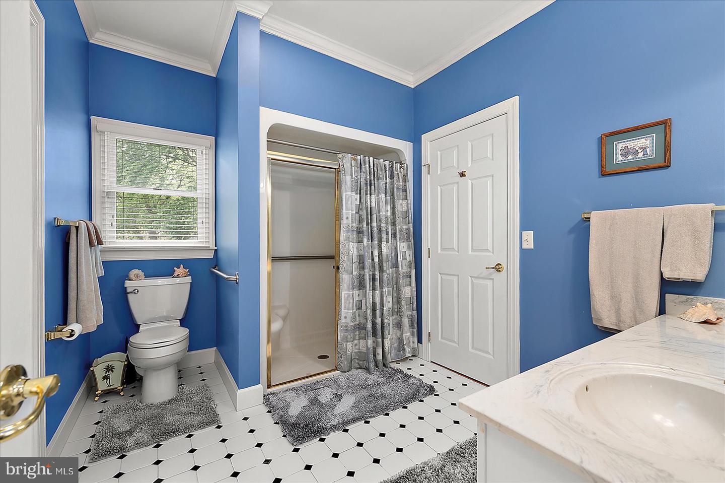 DESU2085582-803830762430-2026-03-05-08-59-12 30944 Holts Landing Rd | Dagsboro, DE Real Estate For Sale | MLS# Desu2085582  - Jack Lingo REALTOR