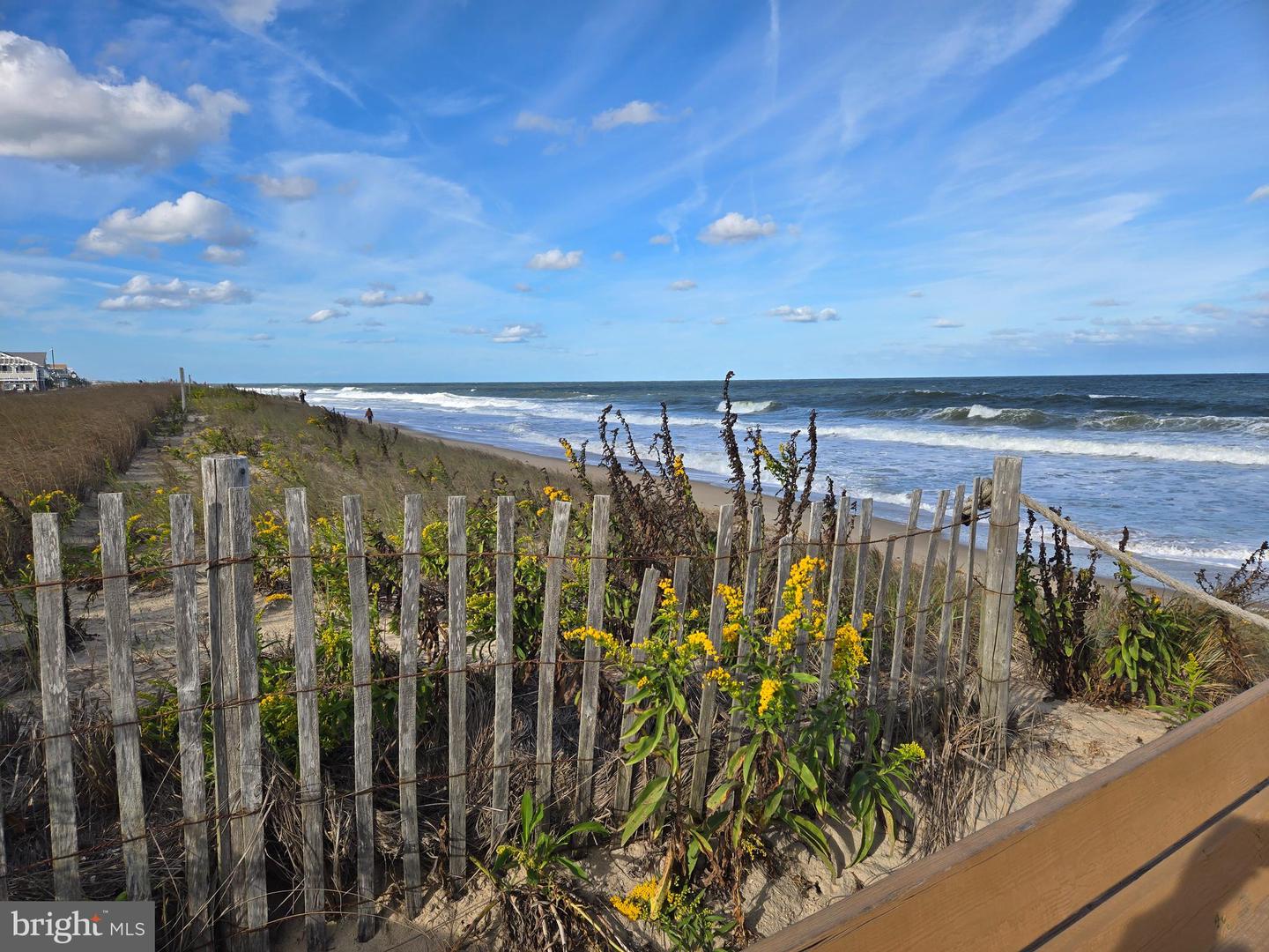 DESU2085582-804227619104-2026-03-05-08-59-14 30944 Holts Landing Rd | Dagsboro, DE Real Estate For Sale | MLS# Desu2085582  - Jack Lingo REALTOR