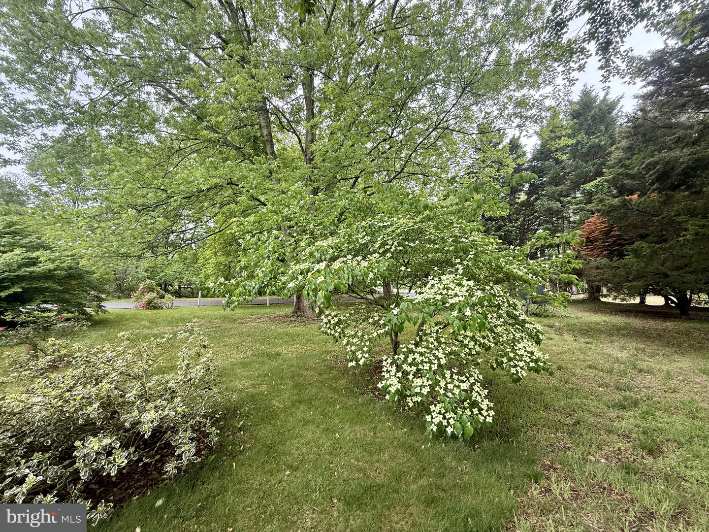 DESU2085696-803826206620-2025-08-19-20-06-55 17312 Pine Water Dr | Lewes, DE Real Estate For Sale | MLS# Desu2085696  - Jack Lingo REALTOR