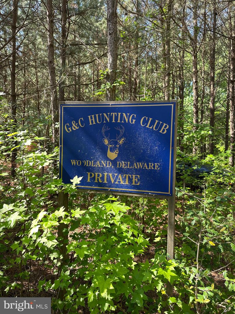 DESU2085806-803830193776-2025-07-30-14-06-03 27950 Woodland Rd | Seaford, DE Real Estate For Sale | MLS# Desu2085806  - Jack Lingo REALTOR