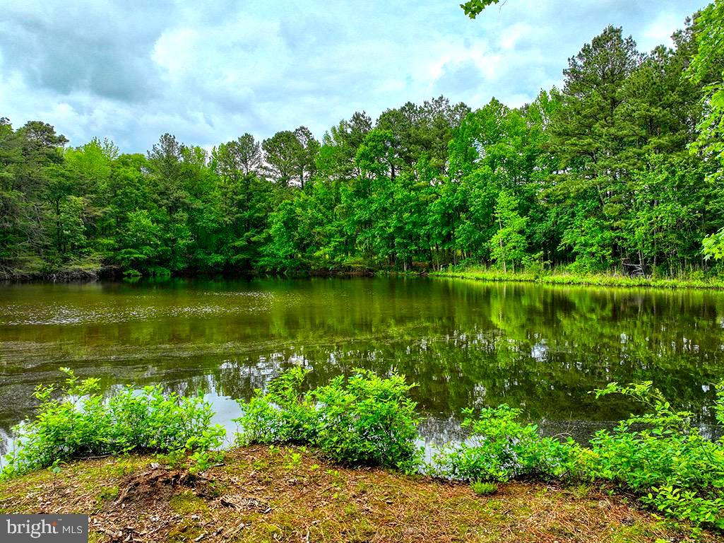 DESU2085806-803853622802-2025-05-14-18-53-29 27950 Woodland Rd | Seaford, DE Real Estate For Sale | MLS# Desu2085806  - Jack Lingo REALTOR