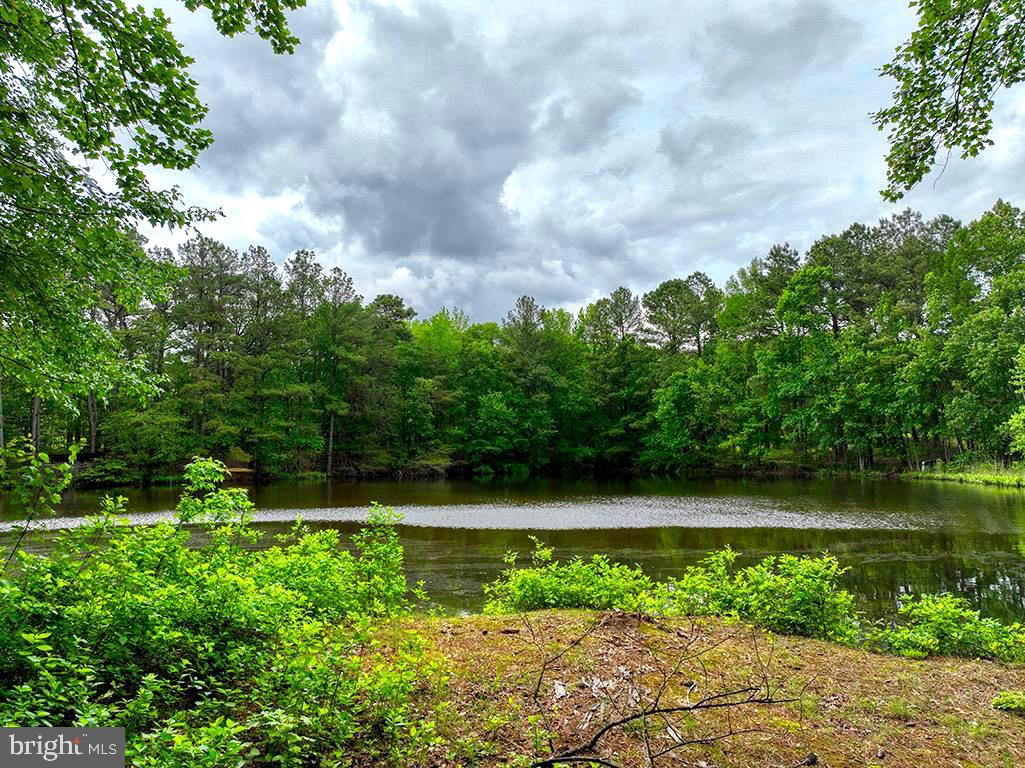27950 WOODLAND RD, SEAFORD, DE - Jack Lingo Realtor