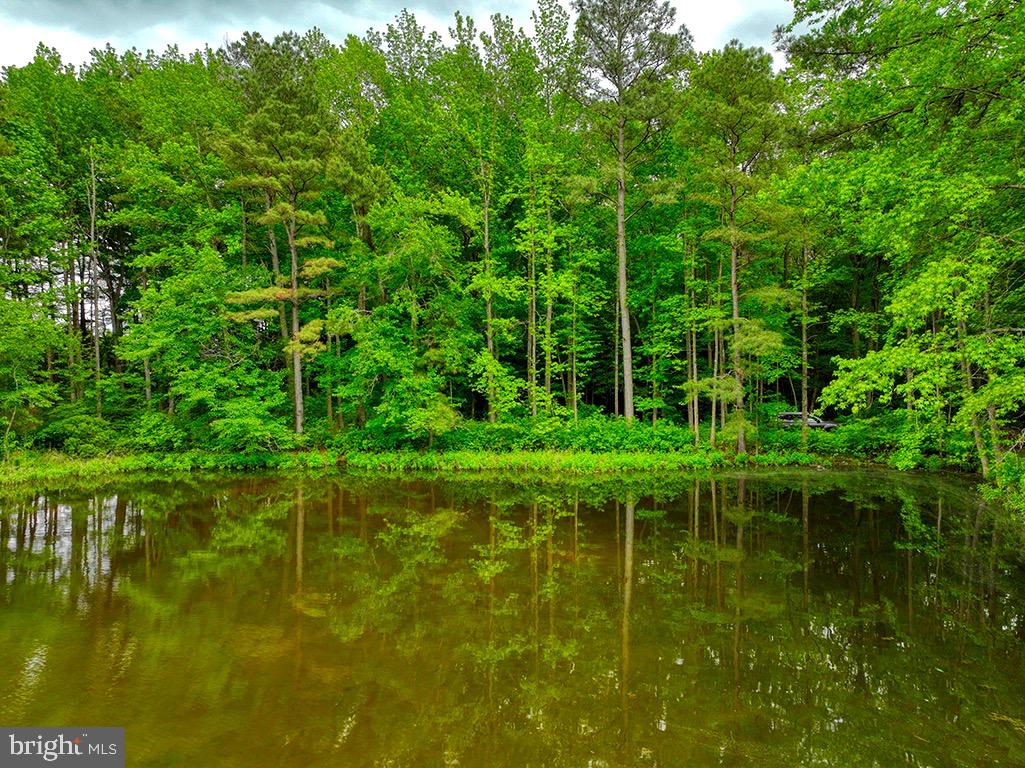 DESU2085806-803853623072-2025-05-14-18-53-31 27950 Woodland Rd | Seaford, DE Real Estate For Sale | MLS# Desu2085806  - Jack Lingo REALTOR