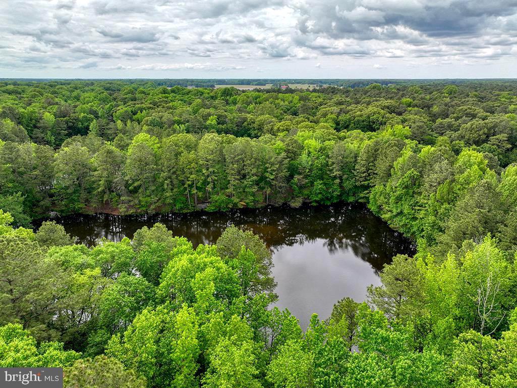 DESU2085806-803853623142-2025-07-30-14-06-05 27950 Woodland Rd | Seaford, DE Real Estate For Sale | MLS# Desu2085806  - Jack Lingo REALTOR