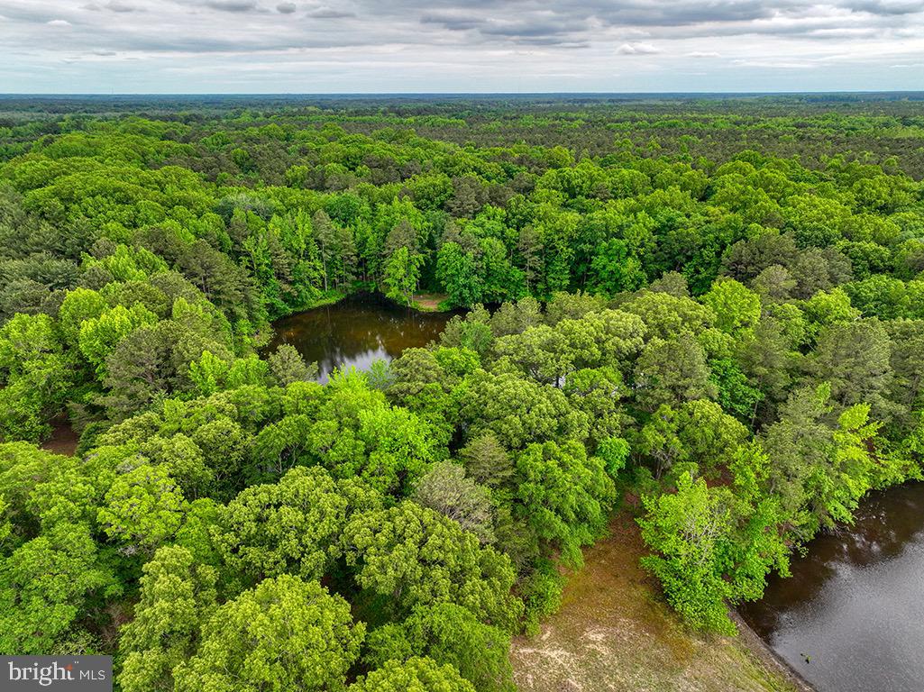 DESU2085806-803853623324-2025-05-14-18-53-30 27950 Woodland Rd | Seaford, DE Real Estate For Sale | MLS# Desu2085806  - Jack Lingo REALTOR