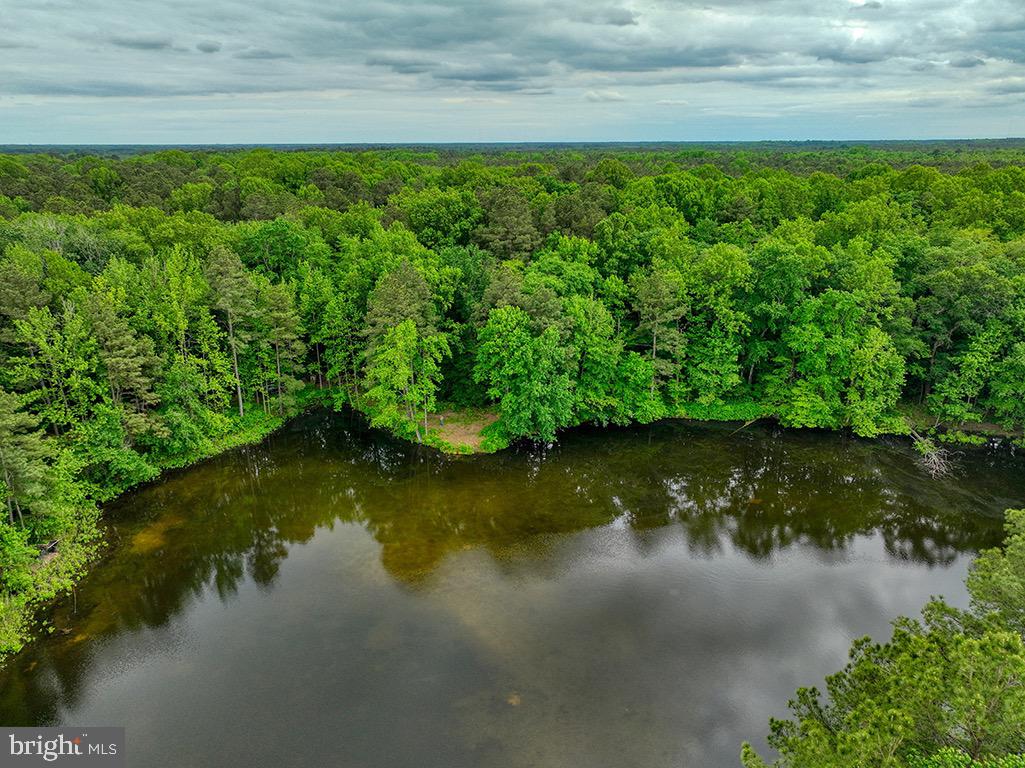 DESU2085806-803853623388-2025-05-14-18-53-30 27950 Woodland Rd | Seaford, DE Real Estate For Sale | MLS# Desu2085806  - Jack Lingo REALTOR