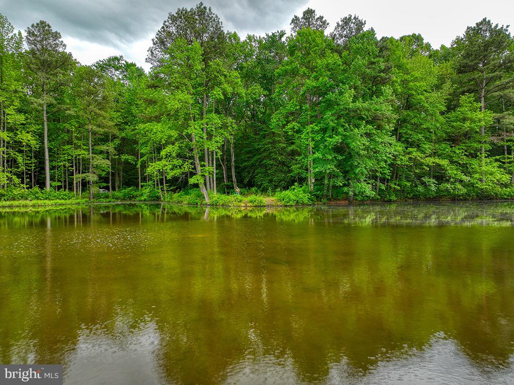 DESU2085806-803853623468-2025-07-30-14-06-05 27950 Woodland Rd | Seaford, DE Real Estate For Sale | MLS# Desu2085806  - Jack Lingo REALTOR