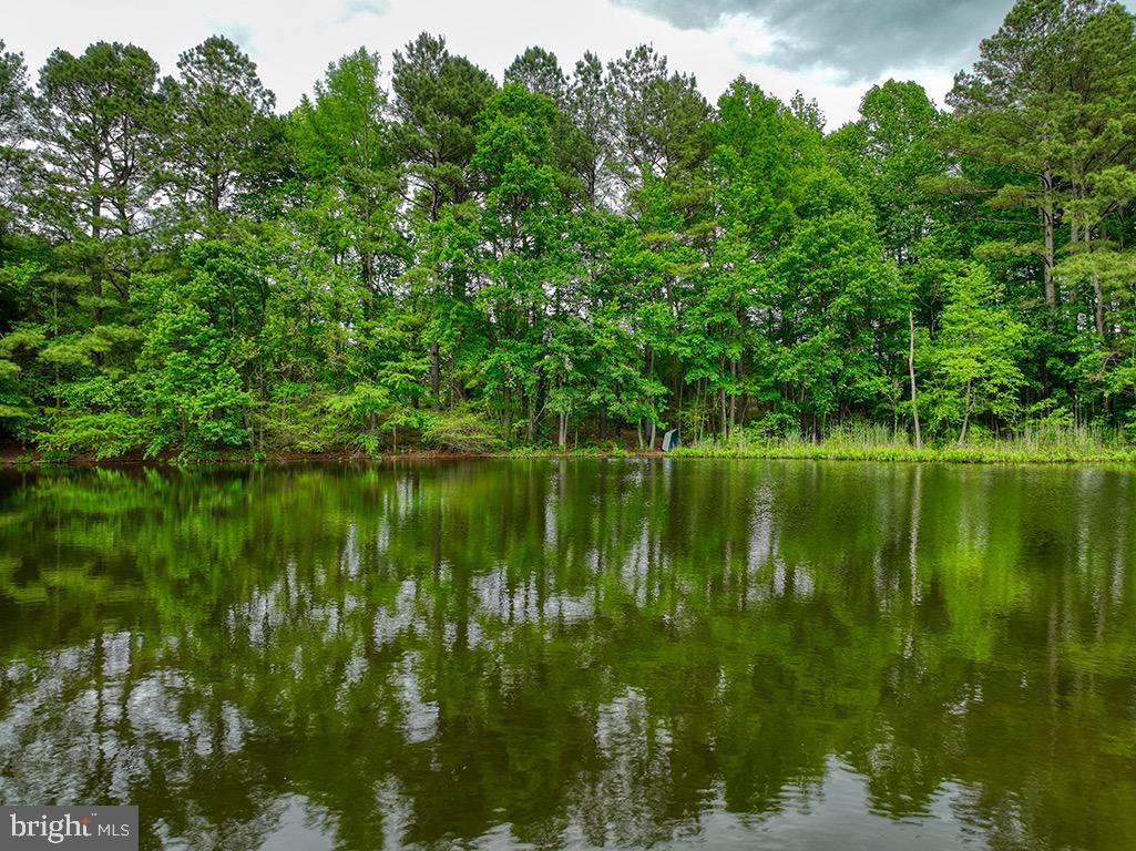 DESU2085806-803853623558-2025-07-30-14-06-04 27950 Woodland Rd | Seaford, DE Real Estate For Sale | MLS# Desu2085806  - Jack Lingo REALTOR