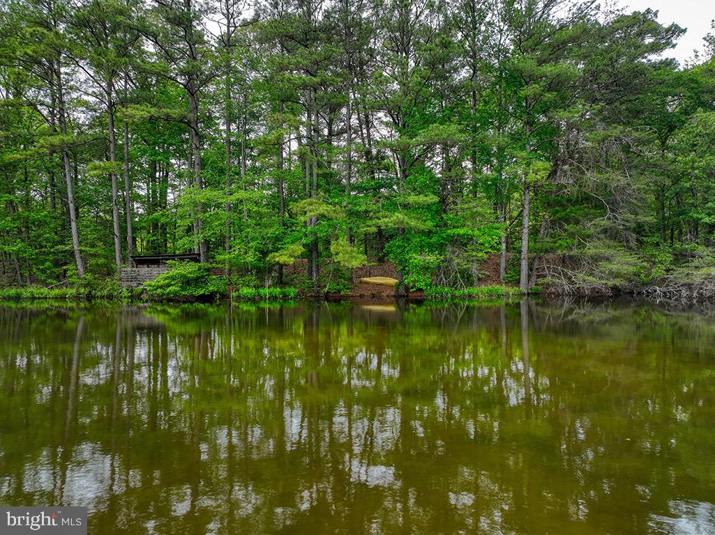 DESU2085806-803853623634-2025-05-14-18-53-29 27950 Woodland Rd | Seaford, DE Real Estate For Sale | MLS# Desu2085806  - Jack Lingo REALTOR