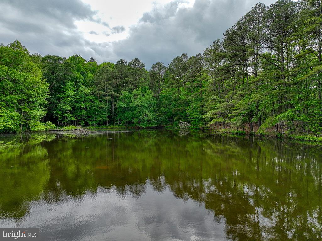 DESU2085806-803853623772-2025-07-30-14-06-04 27950 Woodland Rd | Seaford, DE Real Estate For Sale | MLS# Desu2085806  - Jack Lingo REALTOR