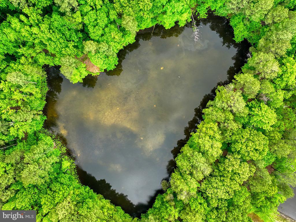 DESU2085806-803853624068-2025-07-30-14-06-04 27950 Woodland Rd | Seaford, DE Real Estate For Sale | MLS# Desu2085806  - Jack Lingo REALTOR