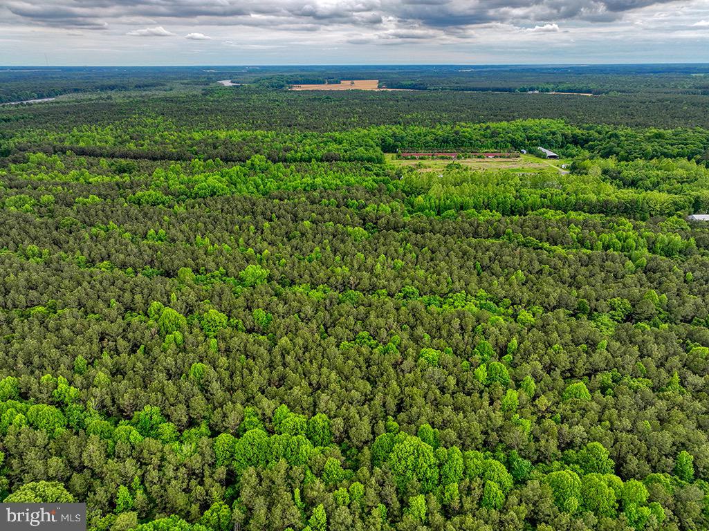 DESU2085806-803853624164-2025-07-30-14-06-05 27950 Woodland Rd | Seaford, DE Real Estate For Sale | MLS# Desu2085806  - Jack Lingo REALTOR