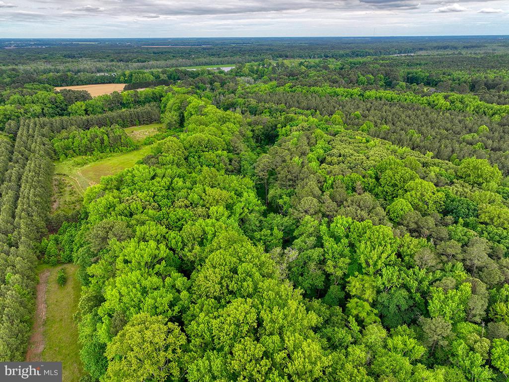 DESU2085806-803853624336-2025-07-30-14-06-03 27950 Woodland Rd | Seaford, DE Real Estate For Sale | MLS# Desu2085806  - Jack Lingo REALTOR