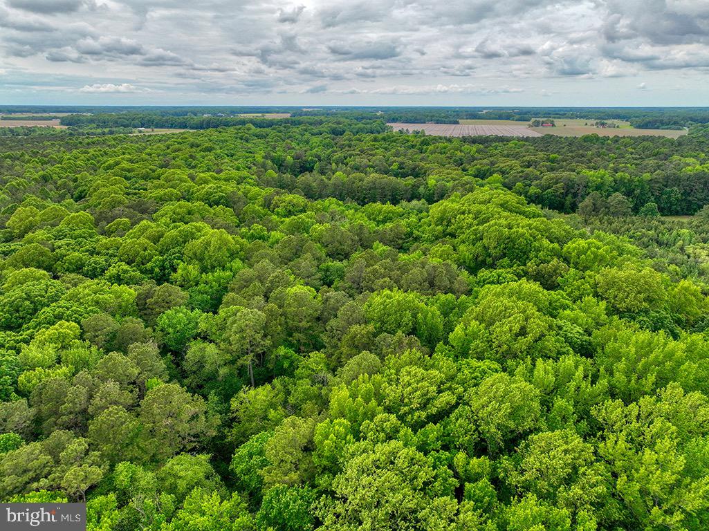 DESU2085806-803853624560-2025-07-30-14-06-04 27950 Woodland Rd | Seaford, DE Real Estate For Sale | MLS# Desu2085806  - Jack Lingo REALTOR