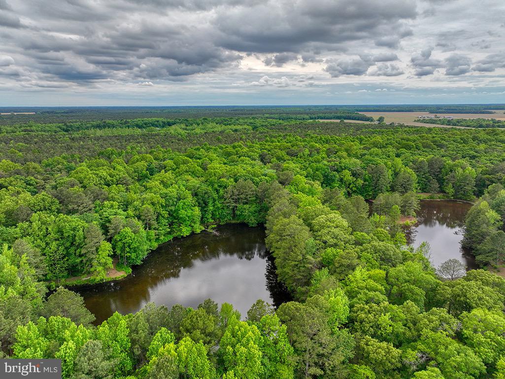 DESU2085806-803853624644-2025-07-30-14-06-04 27950 Woodland Rd | Seaford, DE Real Estate For Sale | MLS# Desu2085806  - Jack Lingo REALTOR