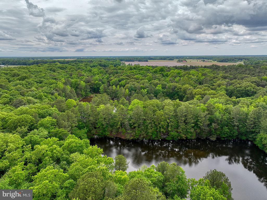 DESU2085806-803853624906-2025-05-14-18-53-30 27950 Woodland Rd | Seaford, DE Real Estate For Sale | MLS# Desu2085806  - Jack Lingo REALTOR