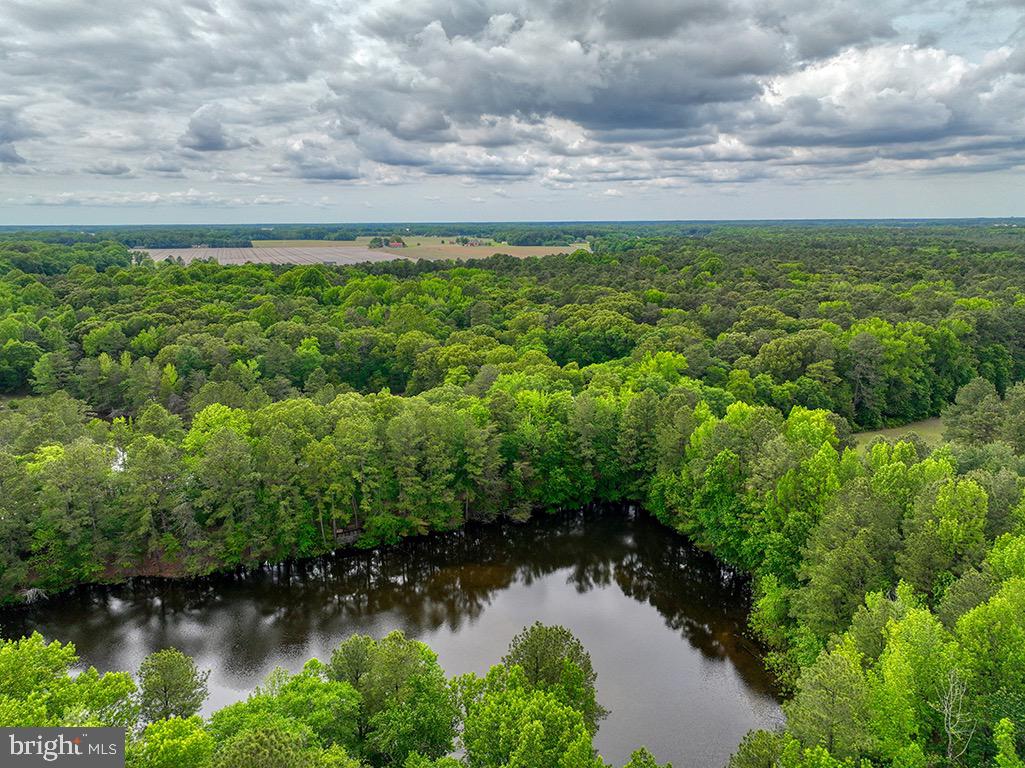 DESU2085806-803853624958-2025-07-30-14-06-04 27950 Woodland Rd | Seaford, DE Real Estate For Sale | MLS# Desu2085806  - Jack Lingo REALTOR