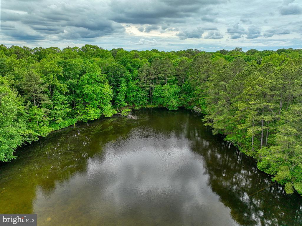 DESU2085806-803853624998-2025-07-30-14-06-05 27950 Woodland Rd | Seaford, DE Real Estate For Sale | MLS# Desu2085806  - Jack Lingo REALTOR