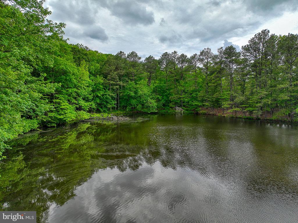 DESU2085806-803853625270-2025-07-30-14-06-04 27950 Woodland Rd | Seaford, DE Real Estate For Sale | MLS# Desu2085806  - Jack Lingo REALTOR