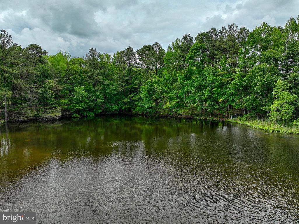 DESU2085806-803853625428-2025-07-30-14-06-03 27950 Woodland Rd | Seaford, DE Real Estate For Sale | MLS# Desu2085806  - Jack Lingo REALTOR