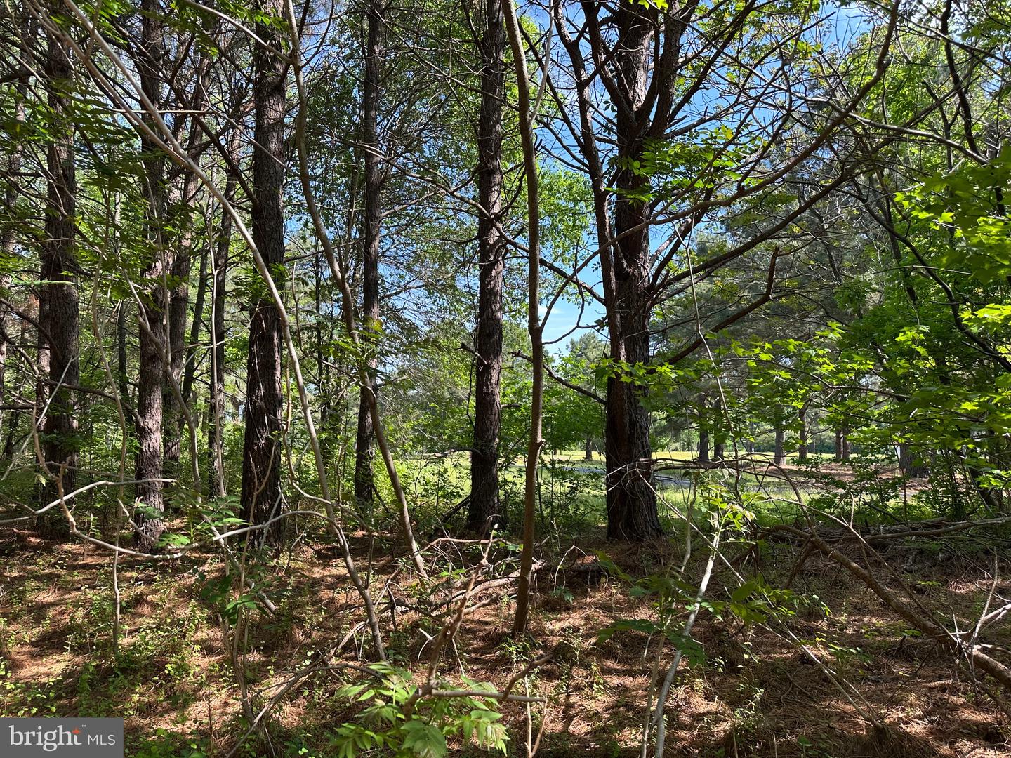 DESU2085806-803854431220-2025-07-30-14-06-05 27950 Woodland Rd | Seaford, DE Real Estate For Sale | MLS# Desu2085806  - Jack Lingo REALTOR