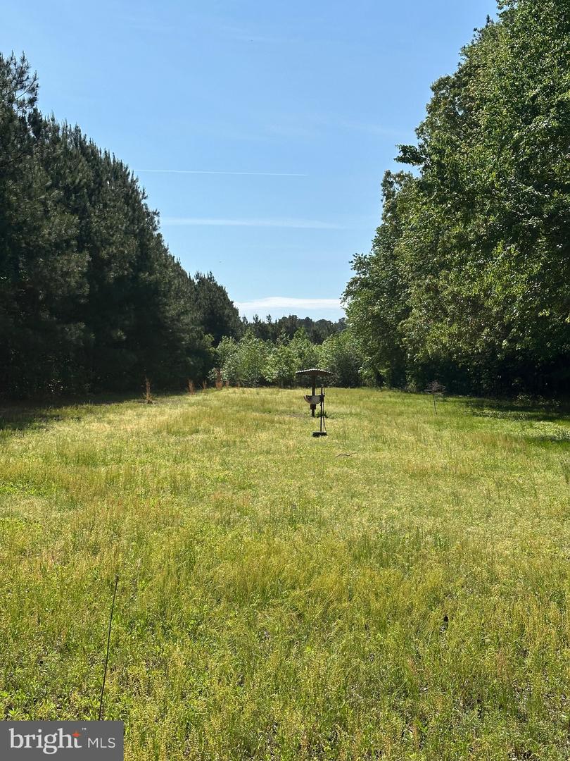 DESU2085806-803854431478-2025-07-30-14-06-05 27950 Woodland Rd | Seaford, DE Real Estate For Sale | MLS# Desu2085806  - Jack Lingo REALTOR