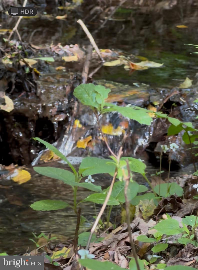 DESU2085806-803854437344-2025-07-30-14-06-05 27950 Woodland Rd | Seaford, DE Real Estate For Sale | MLS# Desu2085806  - Jack Lingo REALTOR