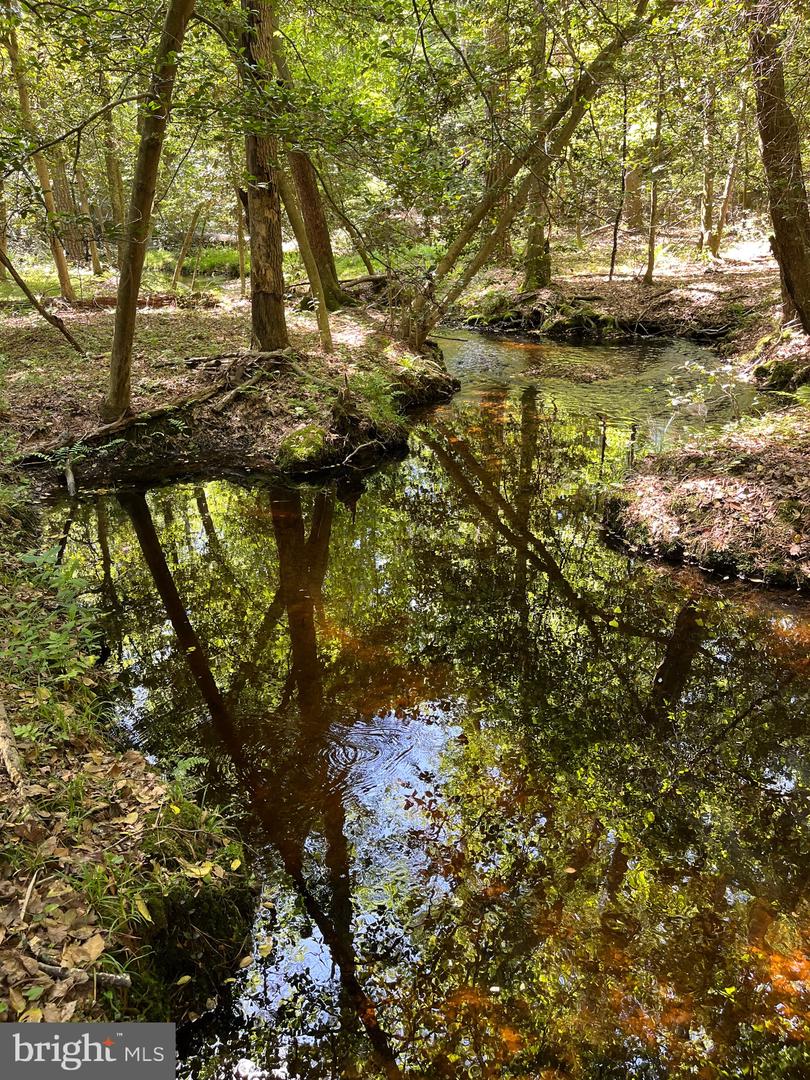 DESU2085806-803854584978-2025-07-30-14-06-04 27950 Woodland Rd | Seaford, DE Real Estate For Sale | MLS# Desu2085806  - Jack Lingo REALTOR