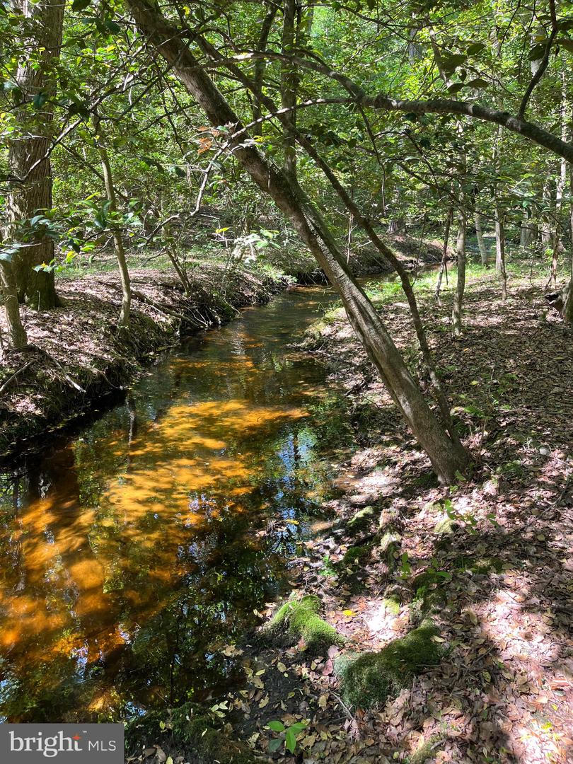 DESU2085806-803854585058-2025-07-30-14-06-05 27950 Woodland Rd | Seaford, DE Real Estate For Sale | MLS# Desu2085806  - Jack Lingo REALTOR