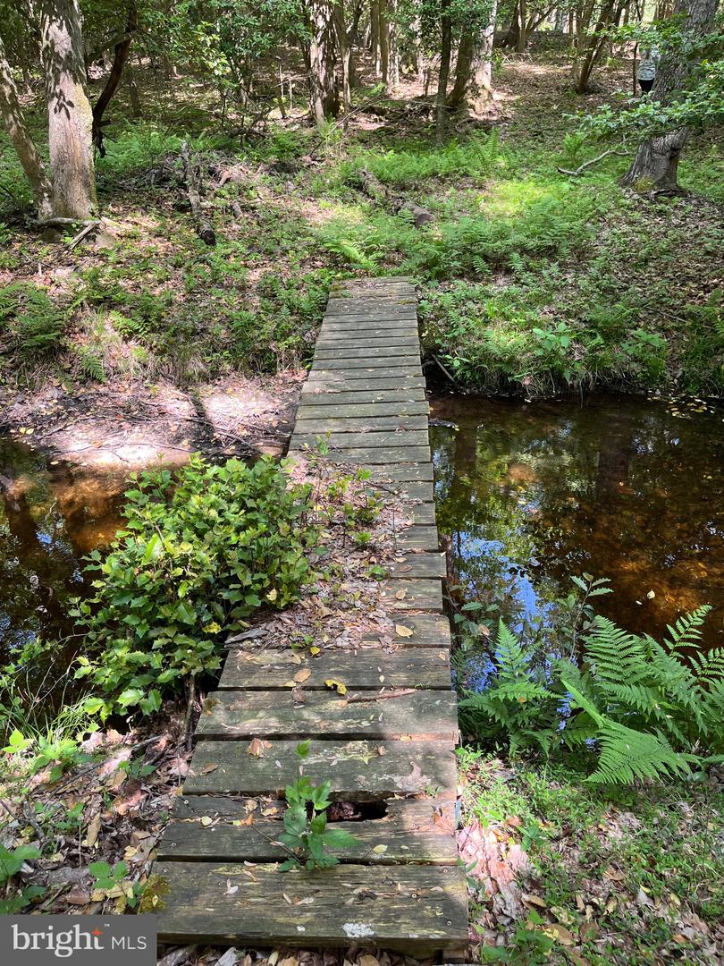 DESU2085806-803854585144-2025-07-30-14-06-05 27950 Woodland Rd | Seaford, DE Real Estate For Sale | MLS# Desu2085806  - Jack Lingo REALTOR