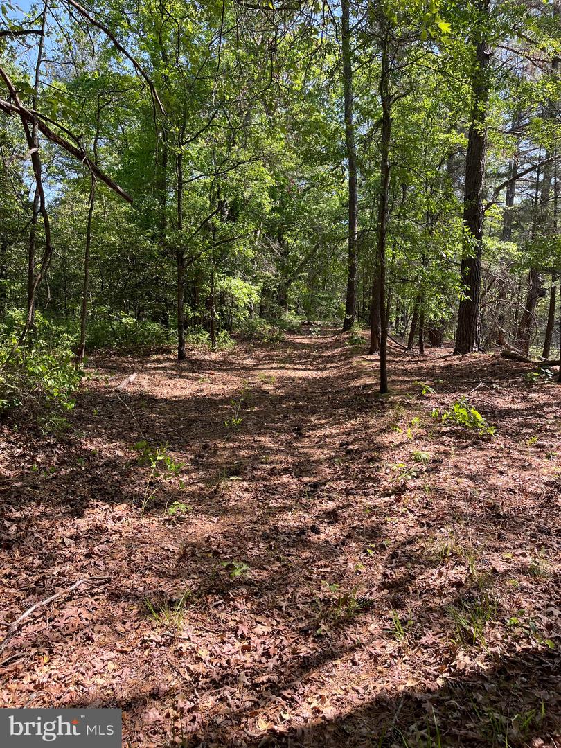 DESU2085806-803854585652-2025-07-30-14-06-05 27950 Woodland Rd | Seaford, DE Real Estate For Sale | MLS# Desu2085806  - Jack Lingo REALTOR