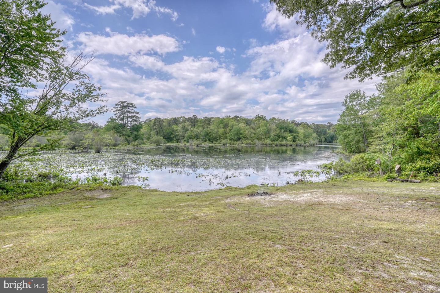 DESU2085938-803839358392-2025-05-09-09-10-54 24123 Fishers Pt | Millsboro, DE Real Estate For Sale | MLS# Desu2085938  - Jack Lingo REALTOR