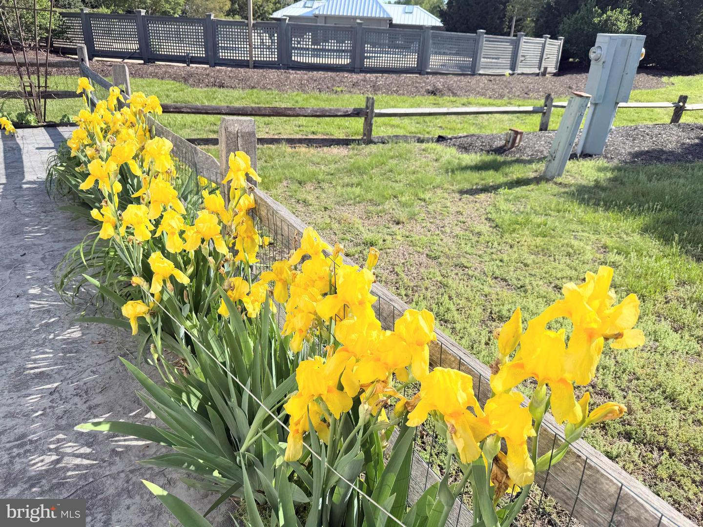 DESU2086030-803841539304-2025-07-05-16-41-43 25908 Wind Dr E #1001 | Long Neck, DE Real Estate For Sale | MLS# Desu2086030 - Jack Lingo REALTOR DESU2086030-803841539304-2025-07-05-16-41-43 25908 Wind Dr E #1001 | Long Neck, DE Real Estate For Sale | MLS# Desu2086030 - Jack Lingo REALTOR